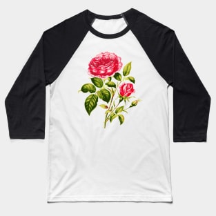 Vintage Pink Roses with Branches and Rose Buds Baseball T-Shirt